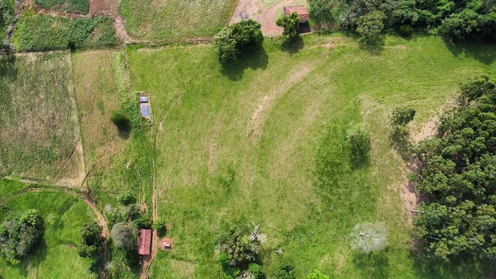 Terreno, 5 hectares - Foto 6