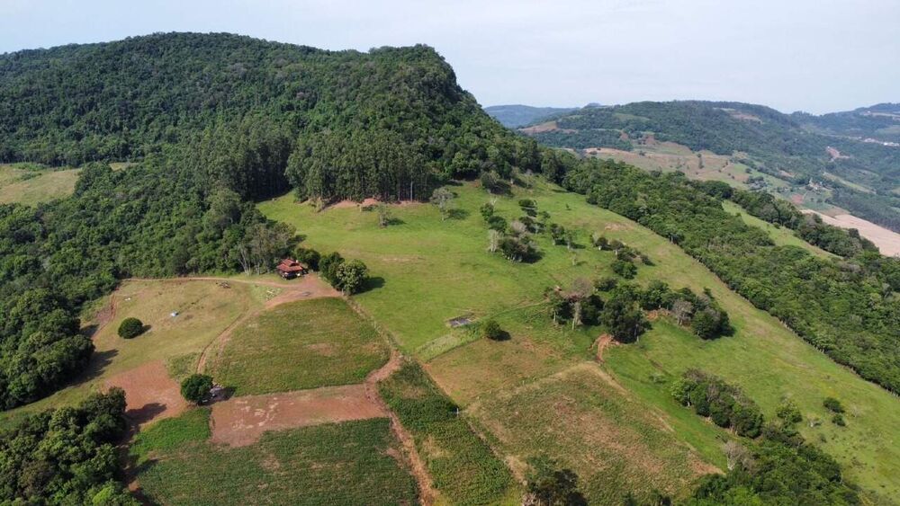 Terreno, 5 hectares - Foto 1