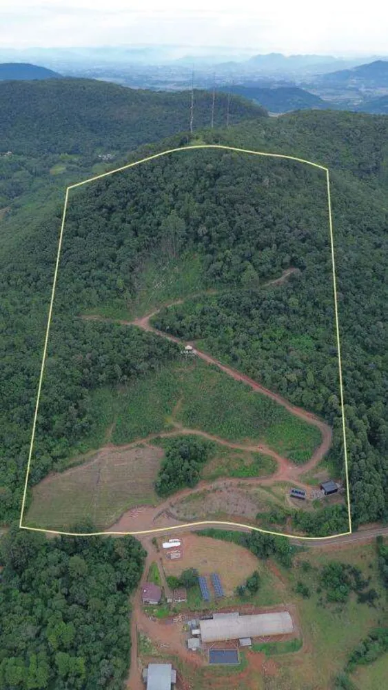 Terreno, 11 hectares - Foto 8
