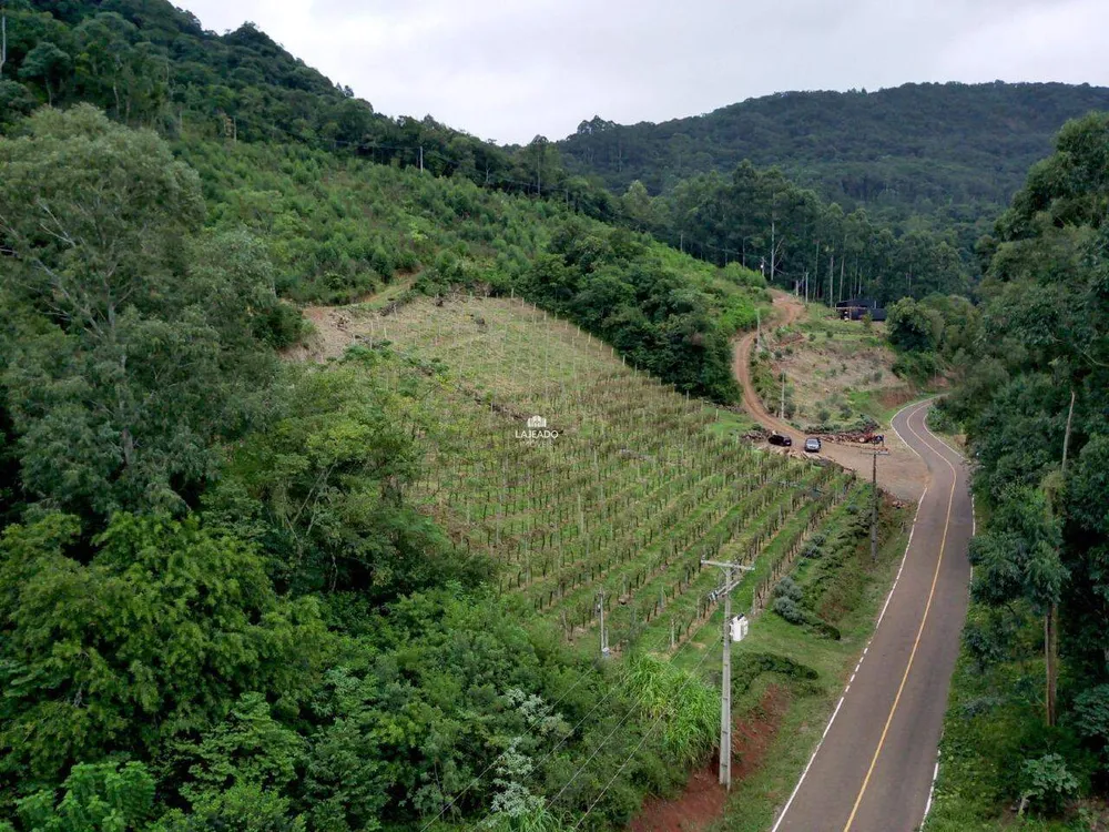 Terreno, 11 hectares - Foto 6