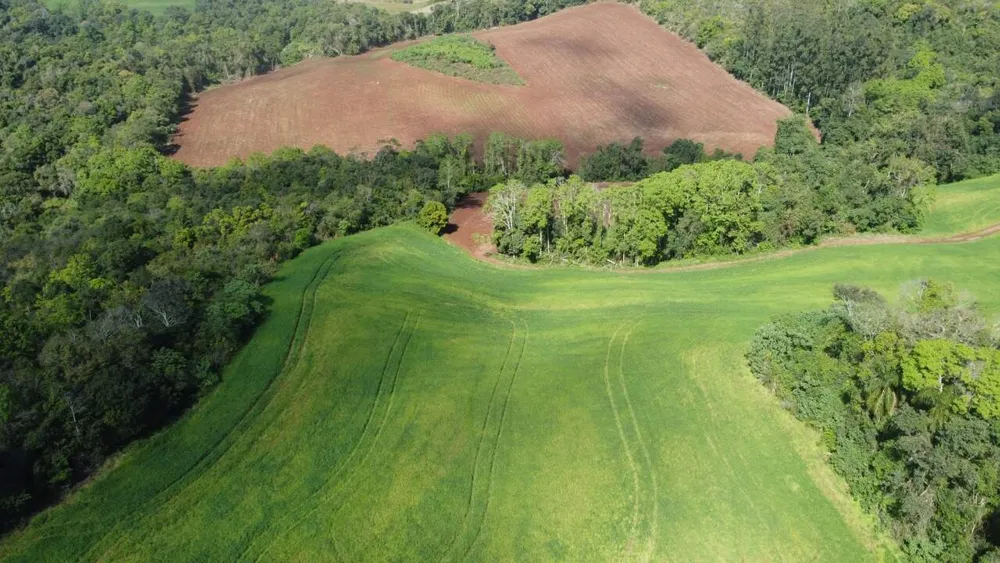 Terreno, 1 hectares - Foto 3