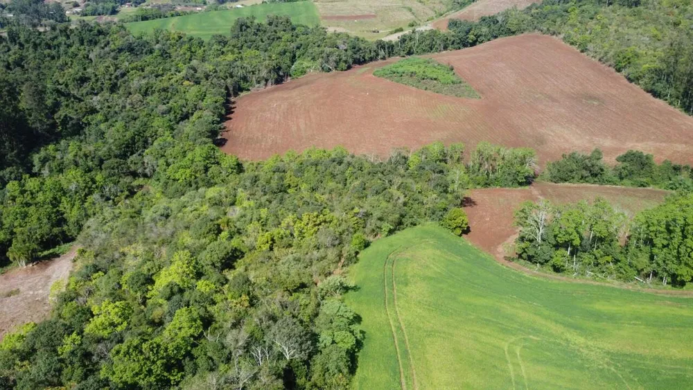 Terreno, 1 hectares - Foto 12