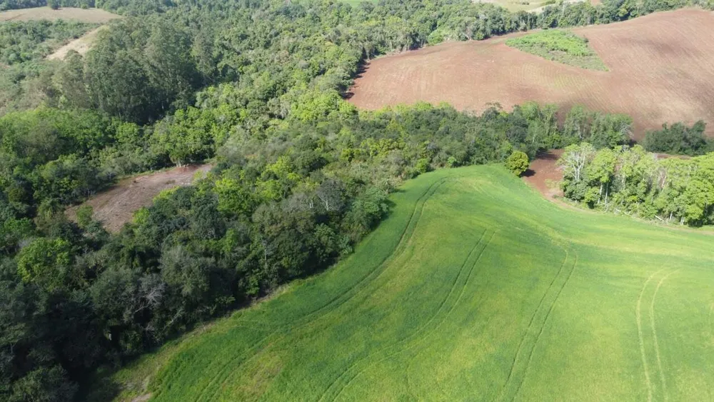 Terreno, 1 hectares - Foto 4