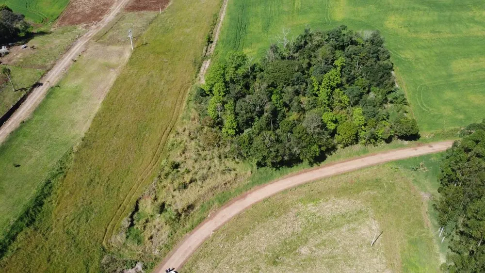 Terreno, 1 hectares - Foto 11