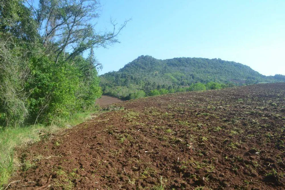 Terreno, 1 hectares - Foto 2