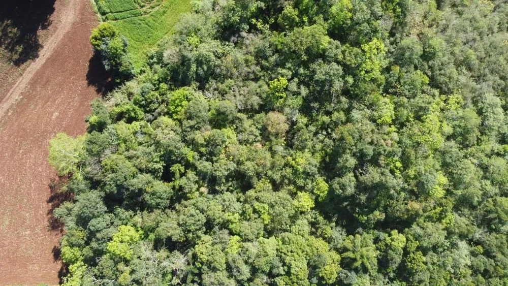 Terreno, 1 hectares - Foto 8