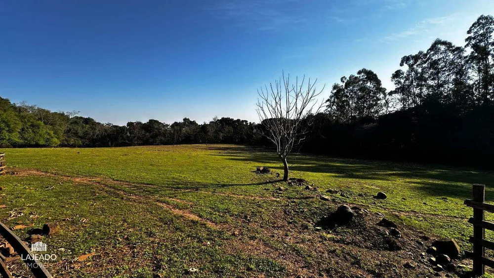 Chácara, 3 quartos, 4 hectares - Foto 10