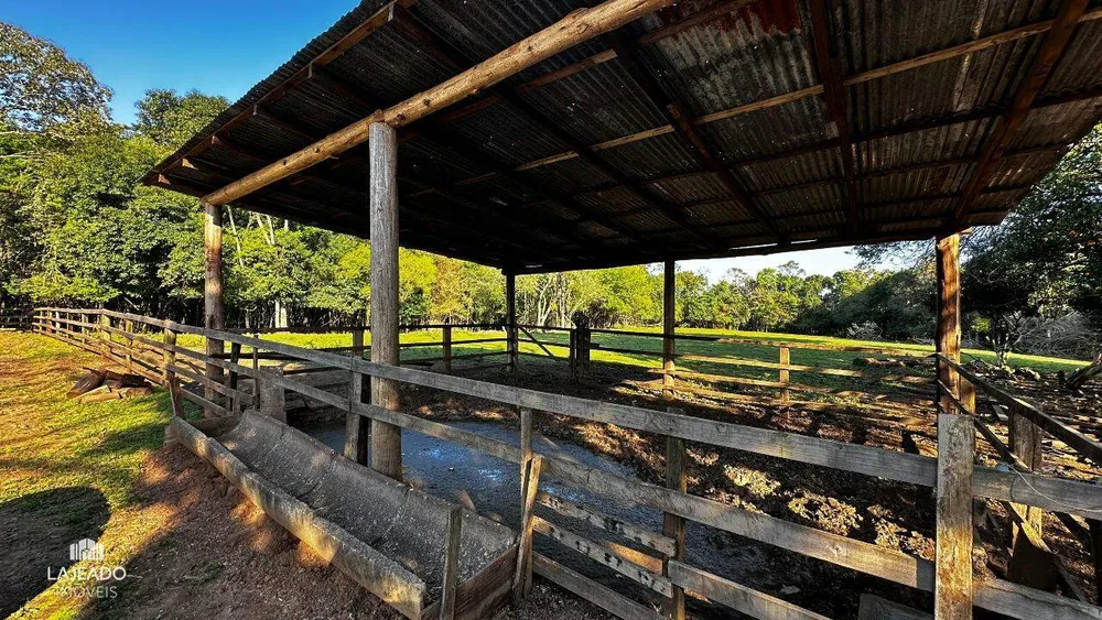 Chácara, 3 quartos, 4 hectares - Foto 3