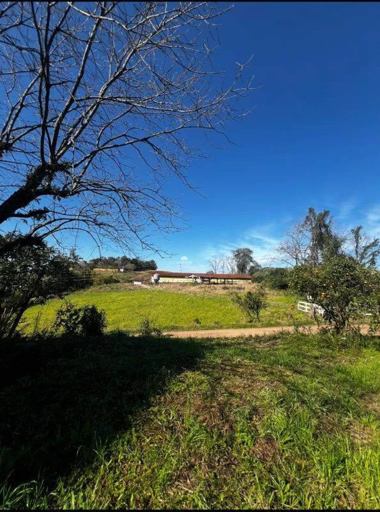 Terreno, 1000 m² - Foto 9