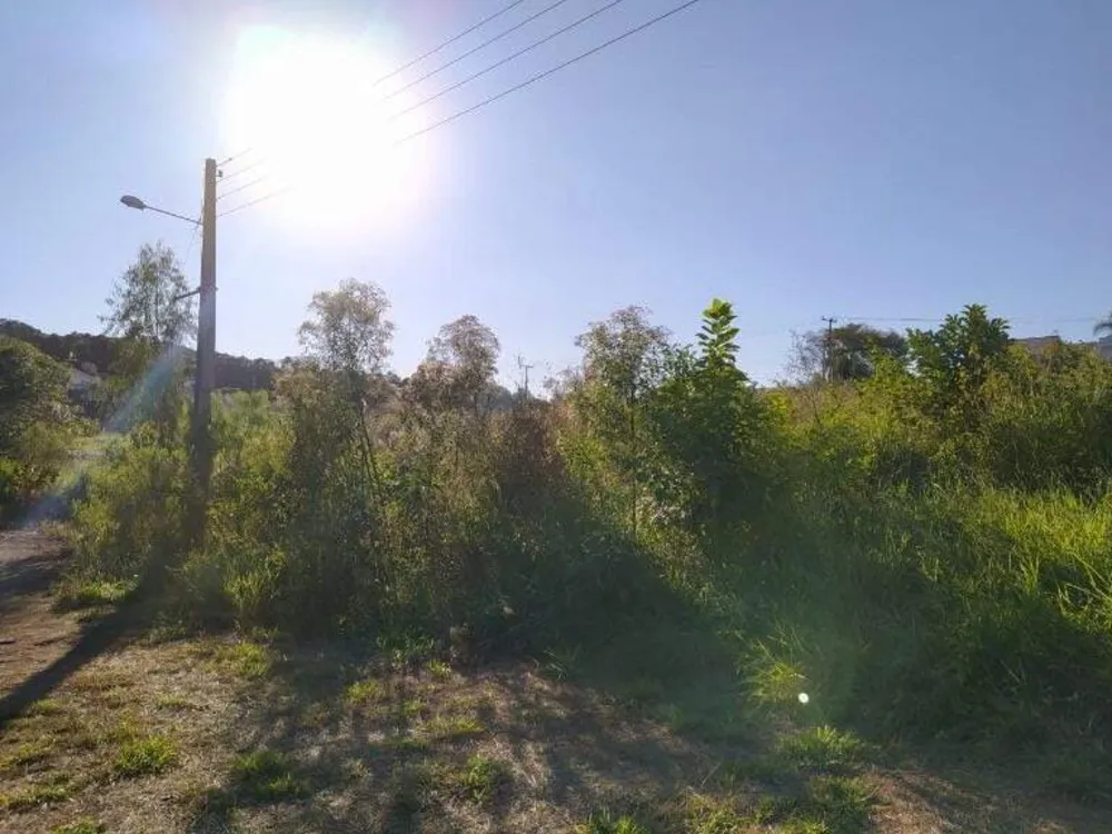 Terreno, 369 m² - Foto 4