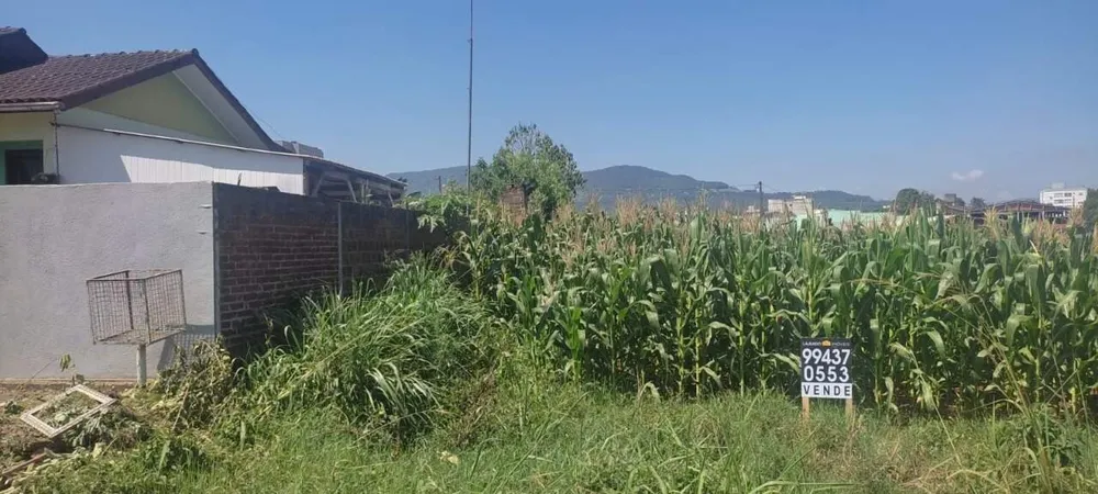 Terreno, 377 m² - Foto 4