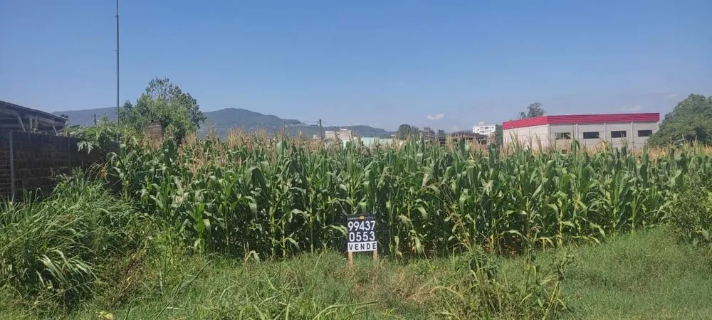 Terreno, 377 m² - Foto 2