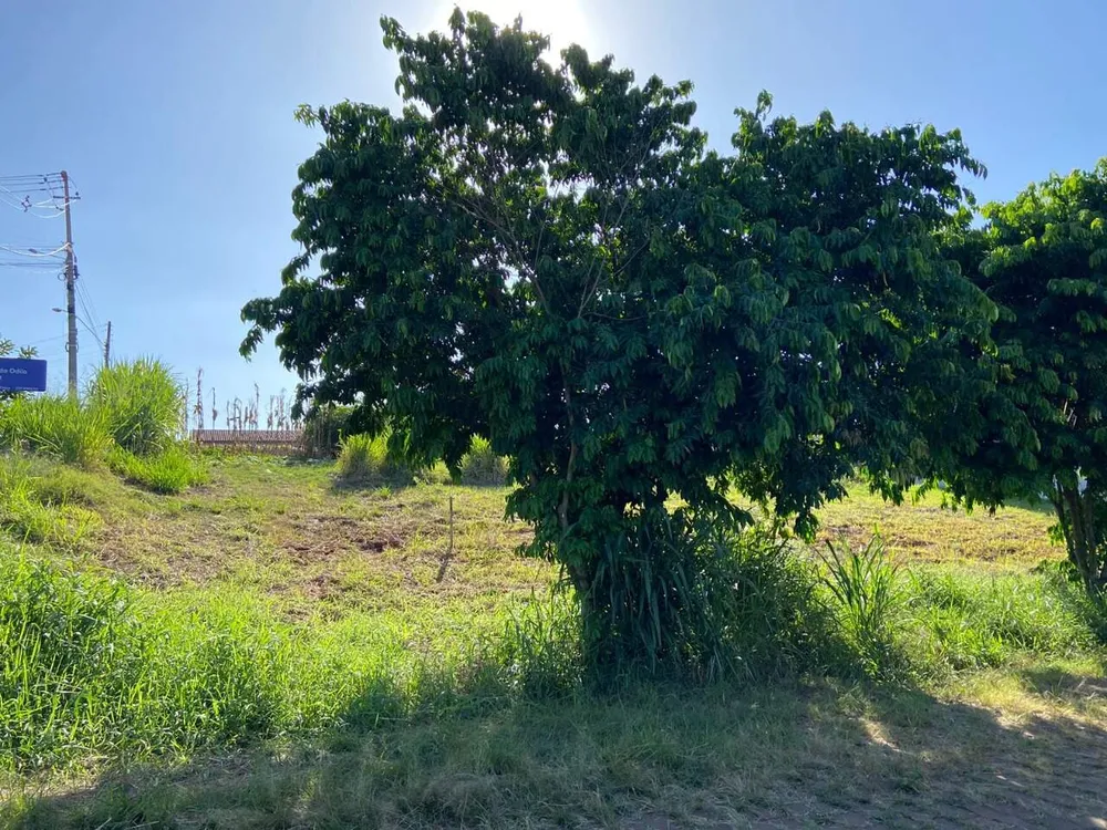 Terreno, 456 m² - Foto 1