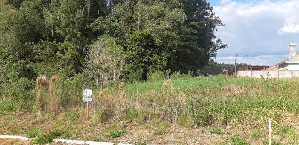 Terreno à venda, 454m² - Foto 3
