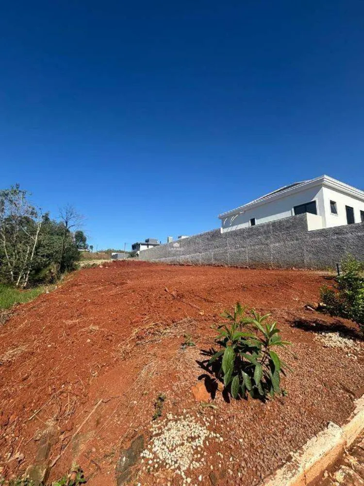 Terreno, 454 m² - Foto 5