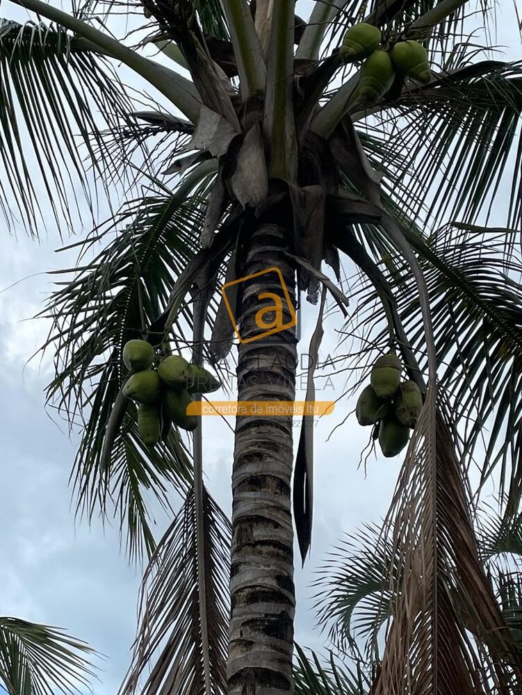 Casa, 2 quartos - Foto 11