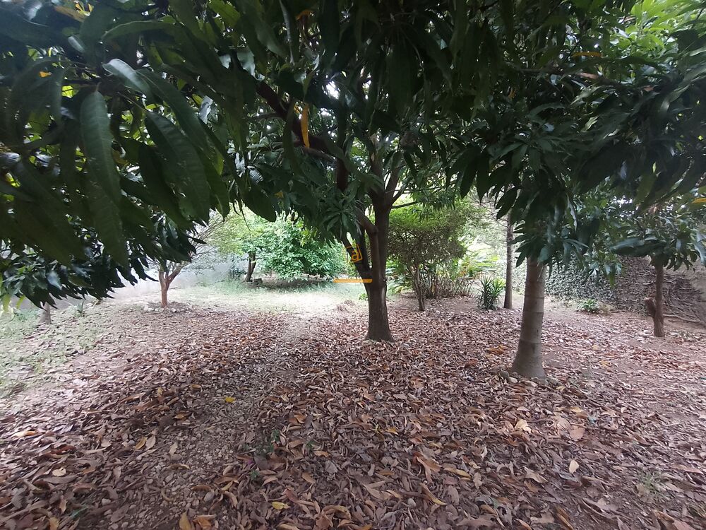 Terreno, 1050 m² - Foto 1