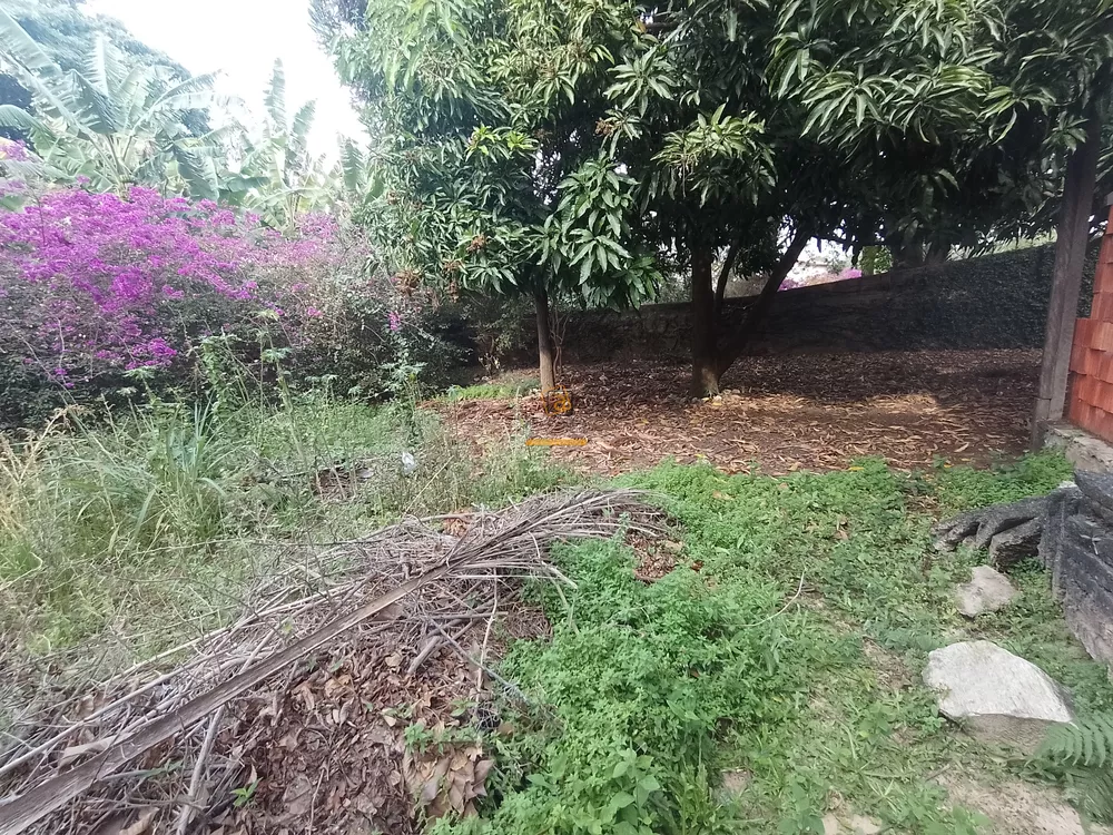 Terreno, 1050 m² - Foto 10