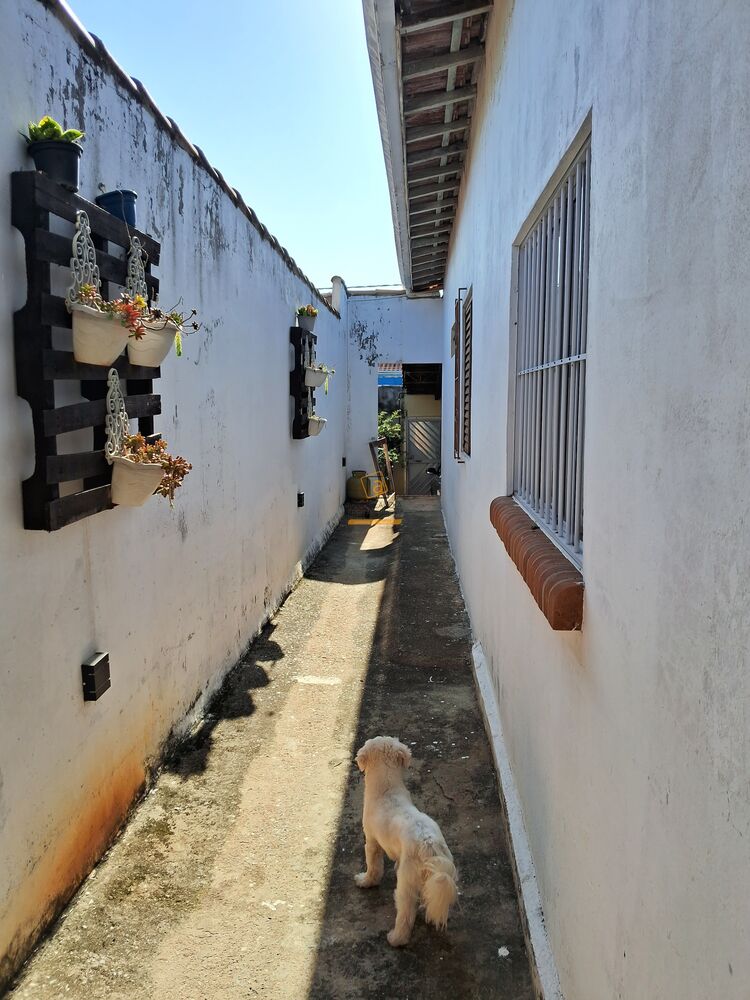 Casa, 4 quartos - Foto 12