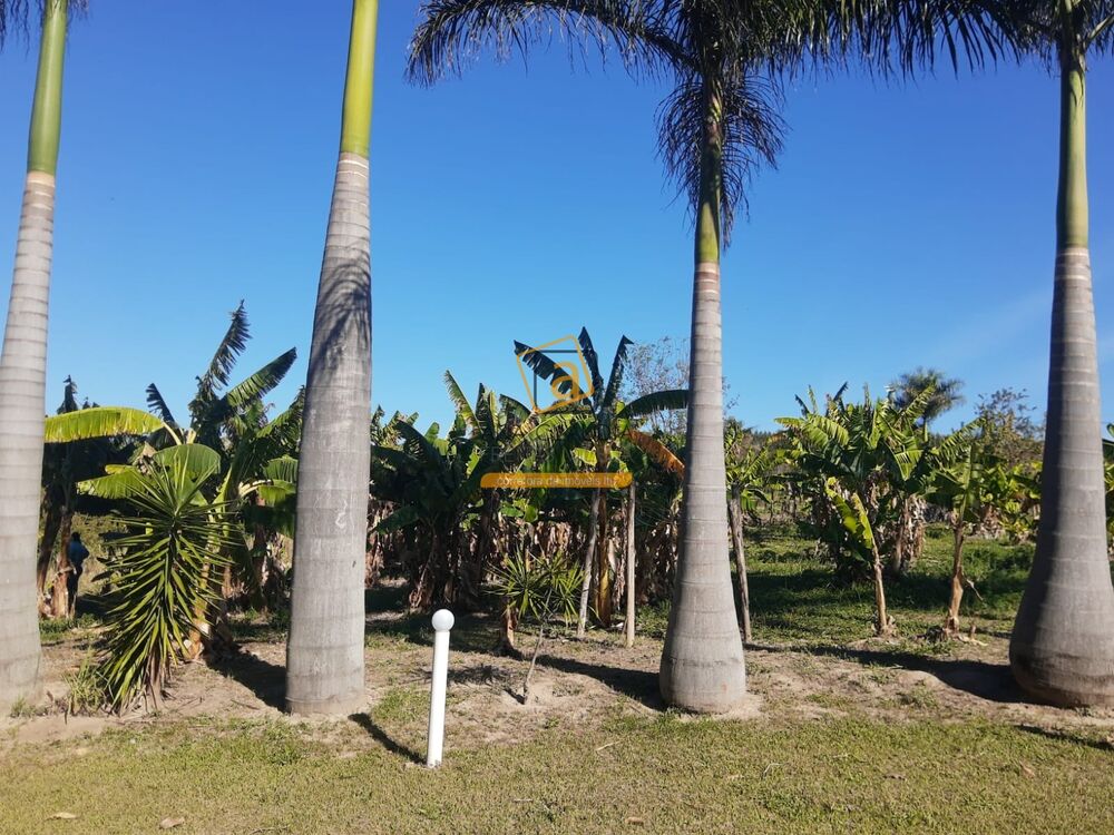 Chácara, 4 quartos - Foto 11