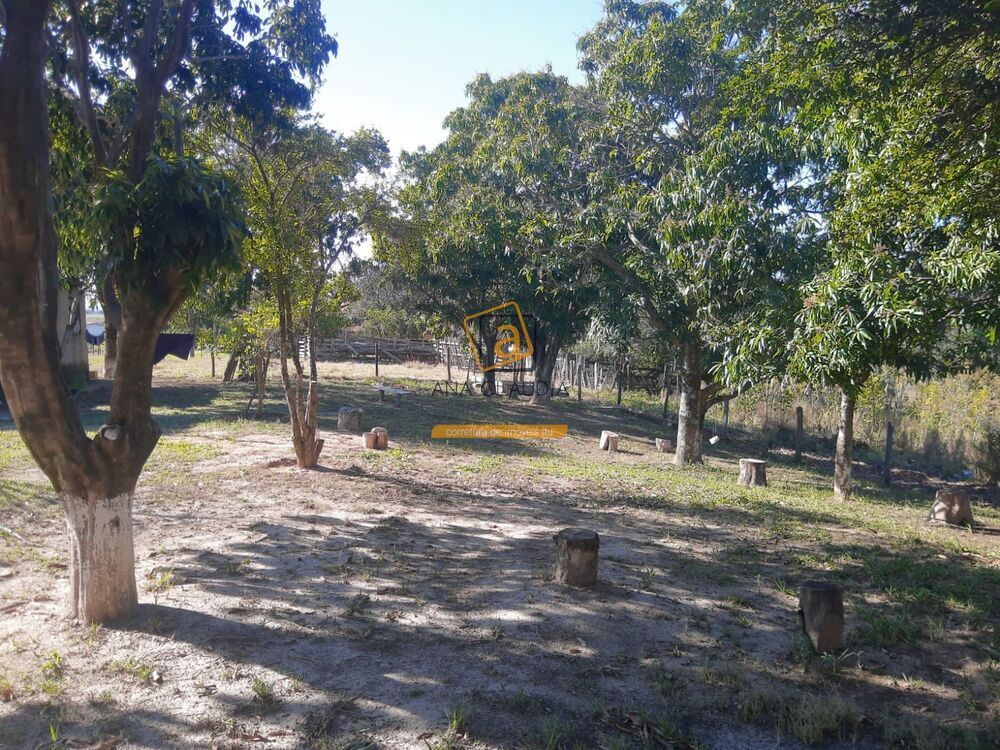 Chácara, 4 quartos - Foto 4