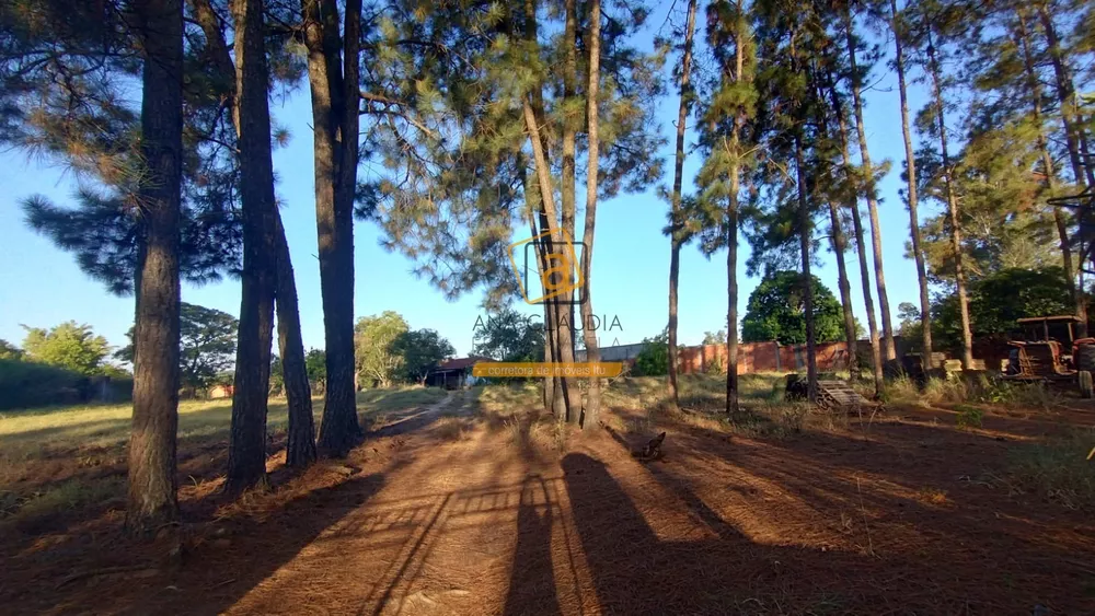 Terreno, 10000 m² - Foto 4