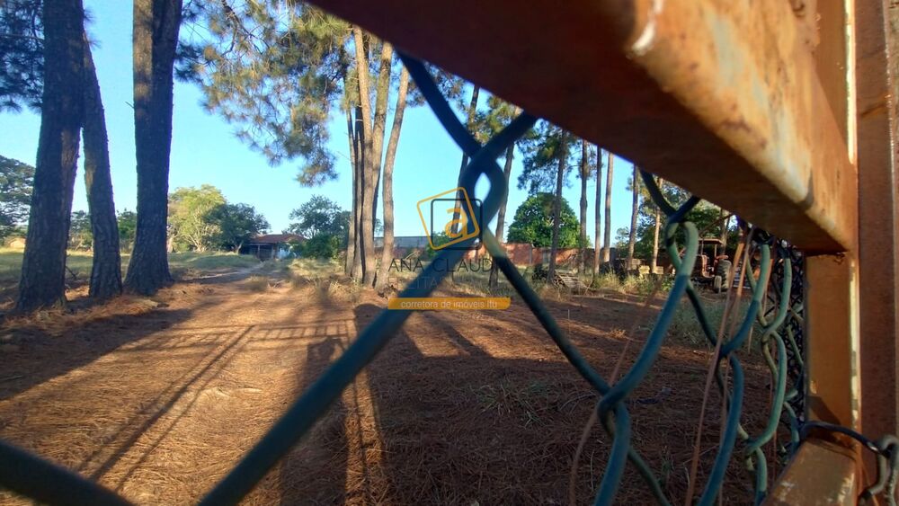 Terreno, 10000 m² - Foto 3