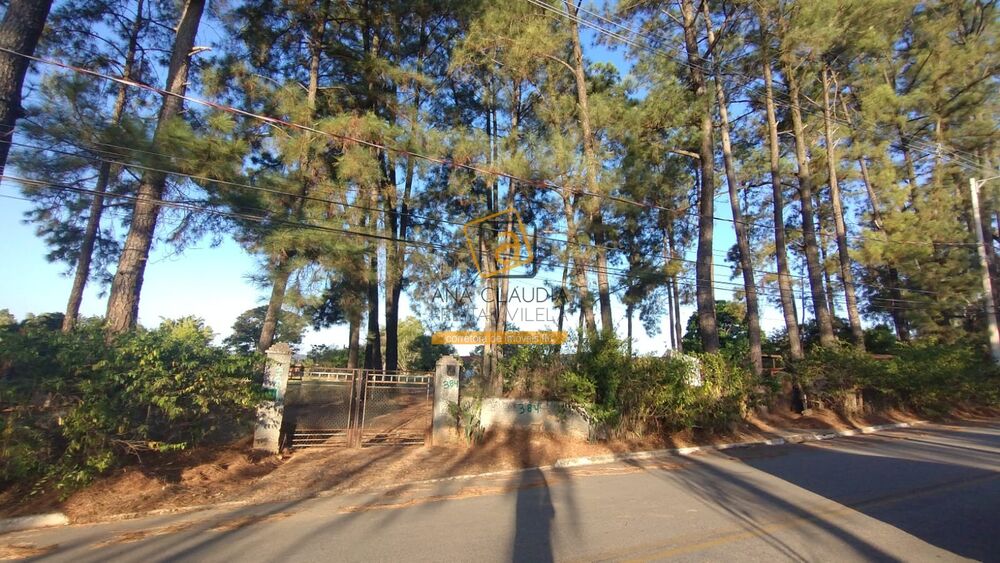 Terreno, 10000 m² - Foto 1