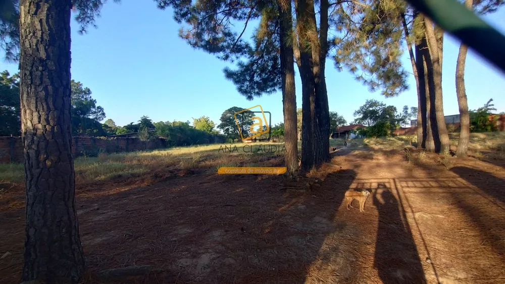 Terreno, 10000 m² - Foto 2