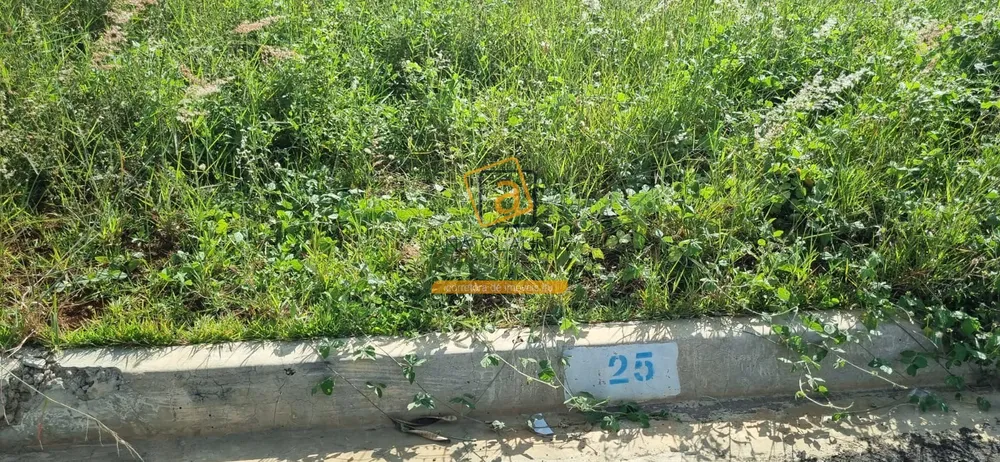Terreno, 200 m² - Foto 3