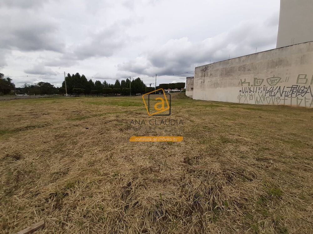 Terreno, 2578 m² - Foto 6