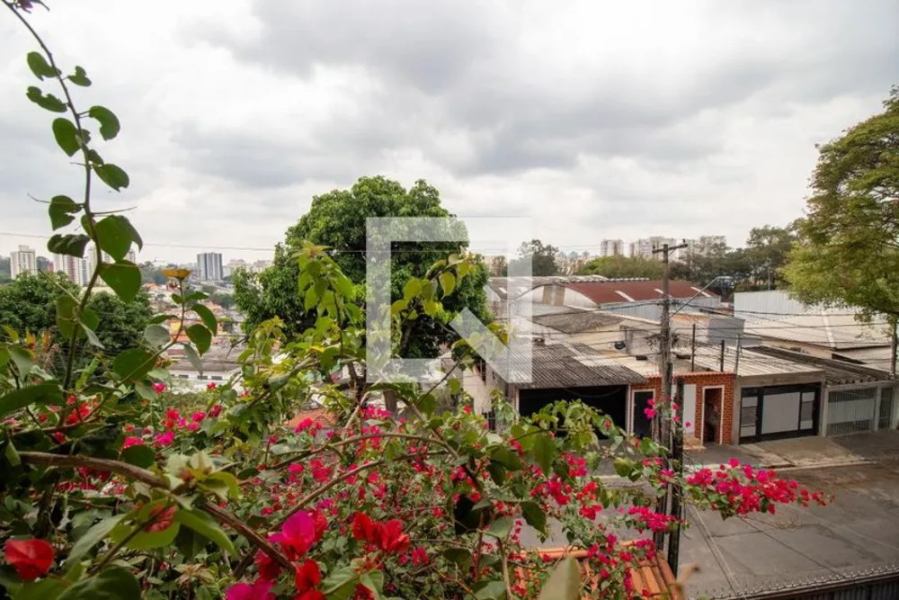 Casa, 4 quartos, 185 m² - Foto 4
