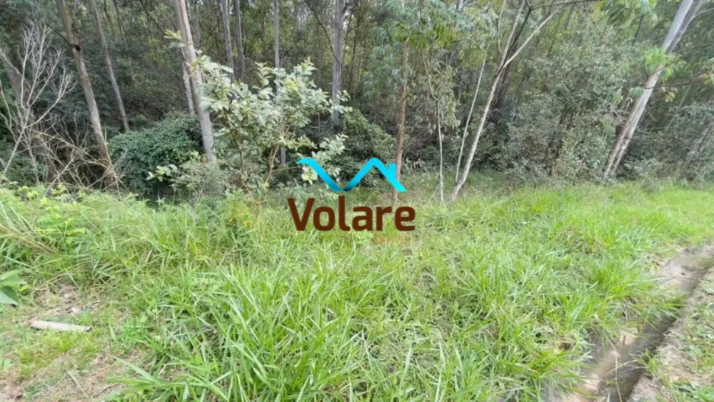 Terreno, 590 m² - Foto 4