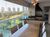Apartamento, 3 quartos, 116 m² - Foto 1