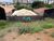 Terreno, 308 m² - Foto 2