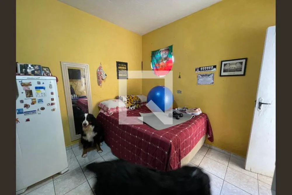 Casa, 5 quartos, 250 m² - Foto 6