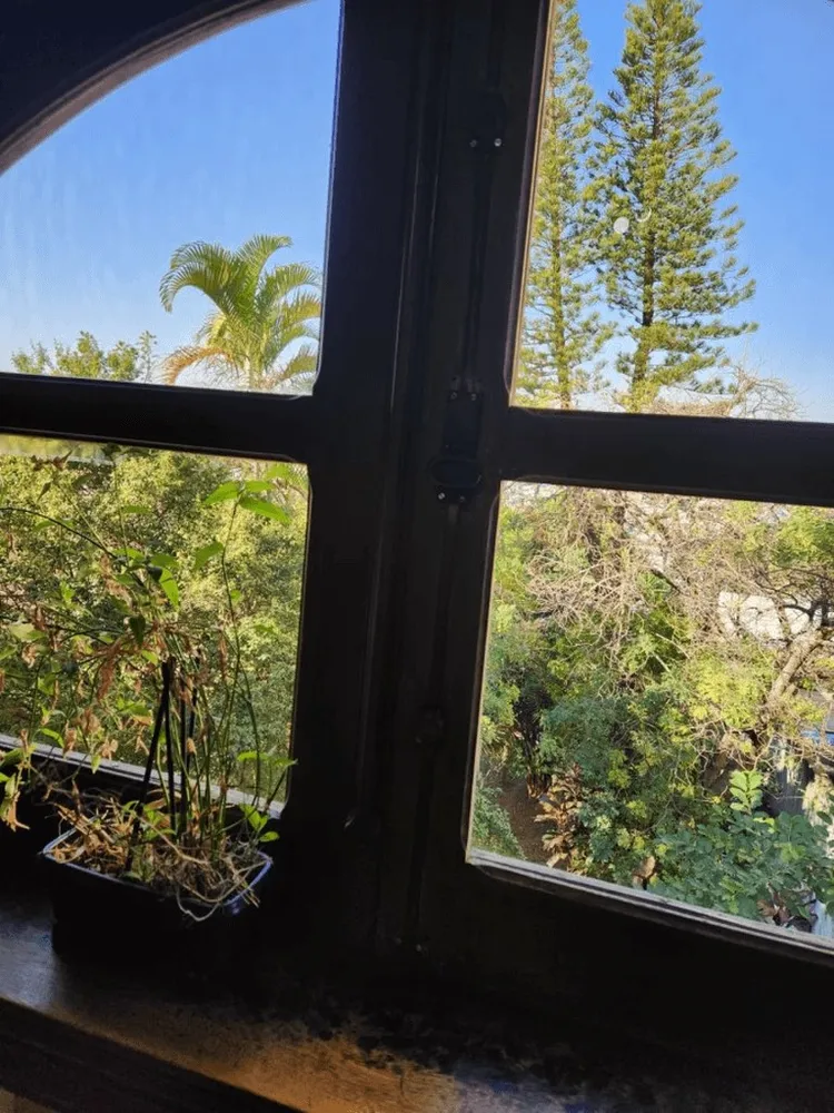Casa, 4 quartos, 335 m² - Foto 3