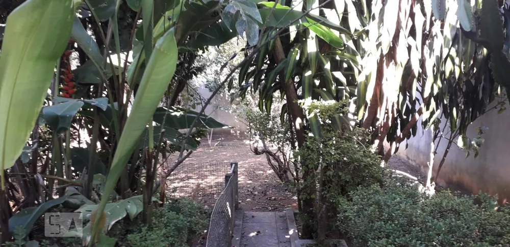 Casa, 3 quartos, 620 m² - Foto 3