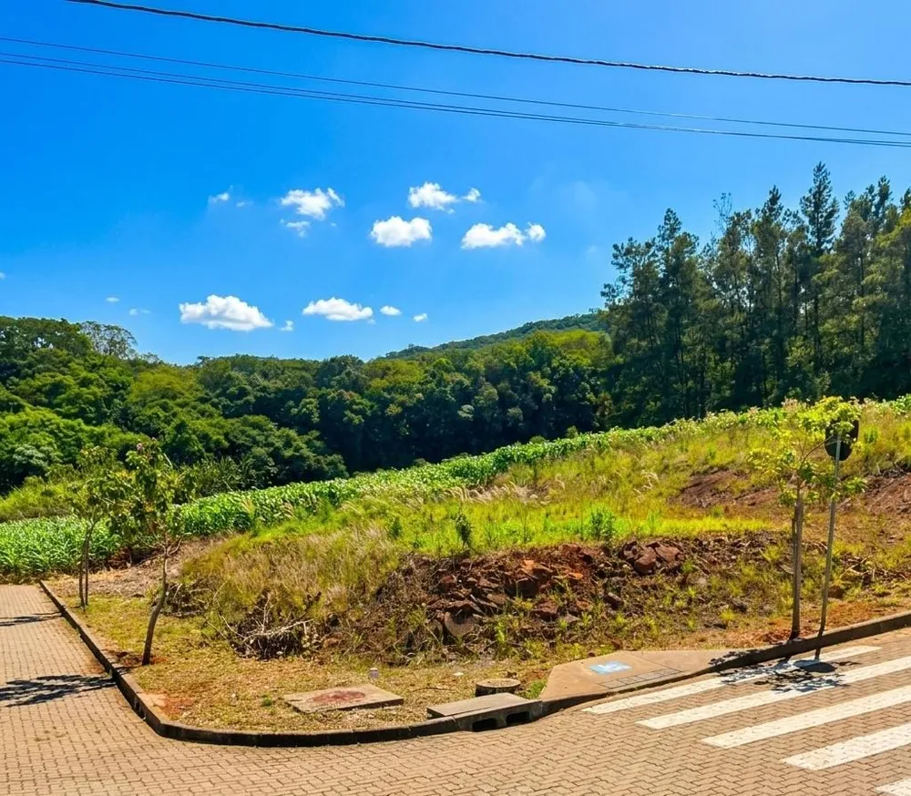 Terreno, 353 m² - Foto 2