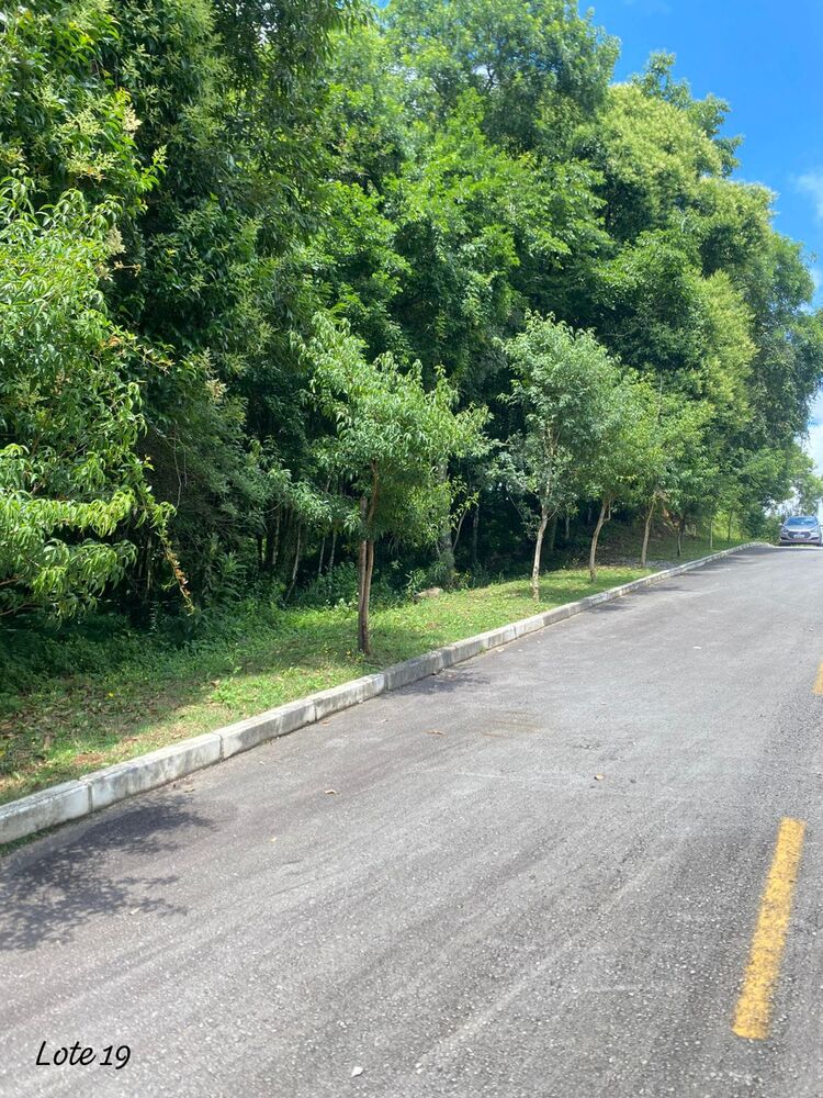 Terreno, 2000 m² - Foto 5