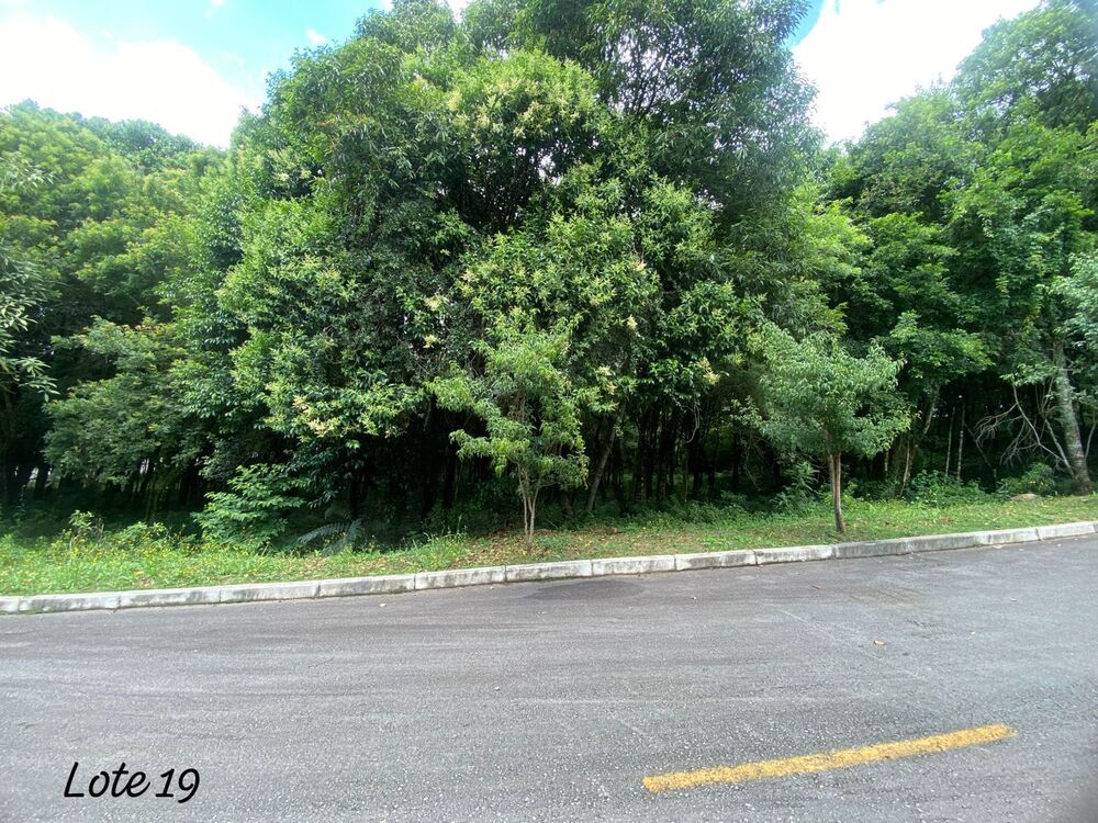 Terreno, 2000 m² - Foto 1