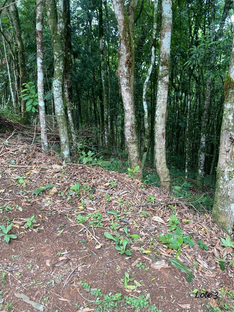 Terreno, 1920 m² - Foto 2