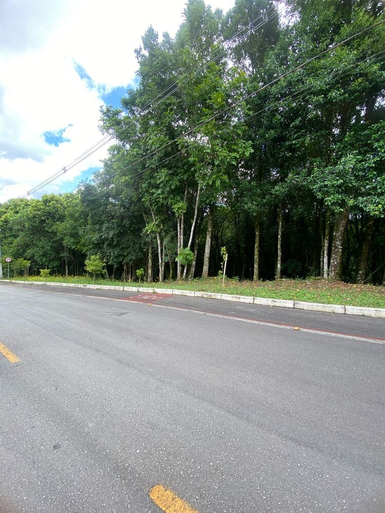 Terreno, 1920 m² - Foto 6