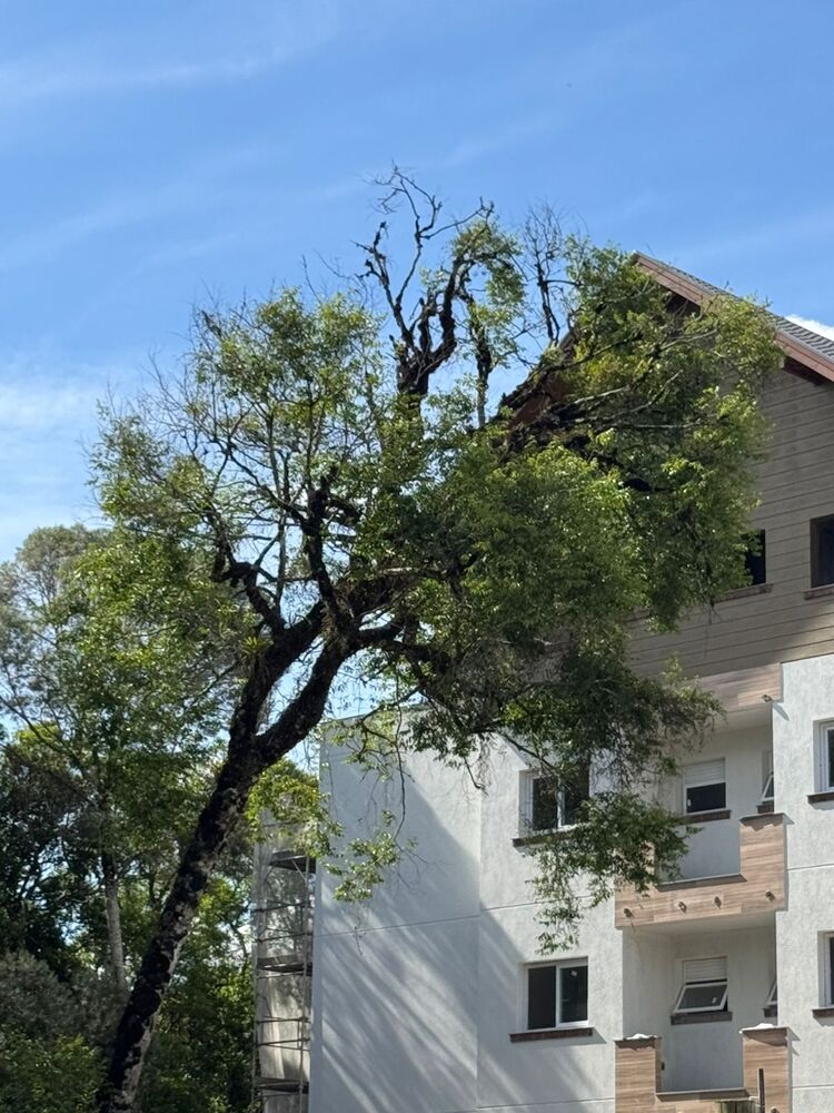 Apartamento, 1 quarto, 47 m² - Foto 6