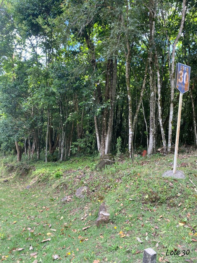 Terreno, 2000 m² - Foto 3