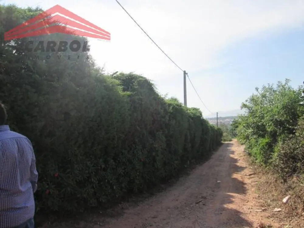 Terreno, 4 hectares - Foto 4