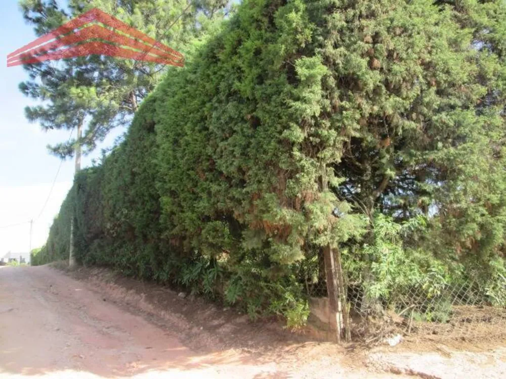 Terreno, 4 hectares - Foto 7