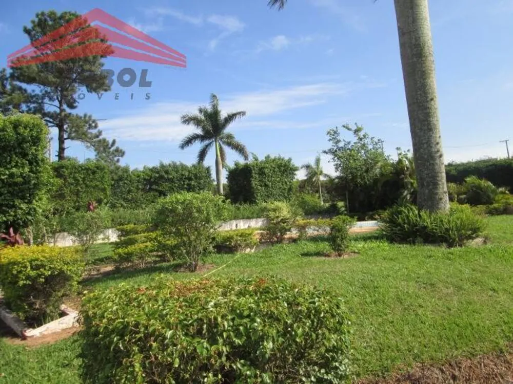 Terreno, 4 hectares - Foto 6