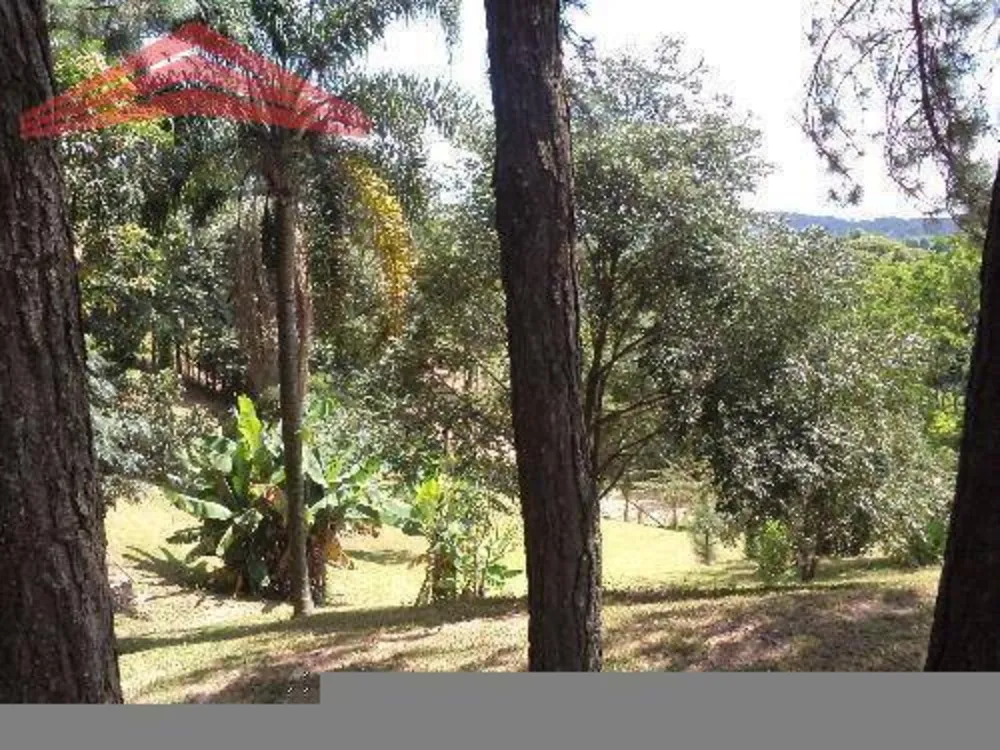 Sítio, 3 quartos, 3800 m² - Foto 4