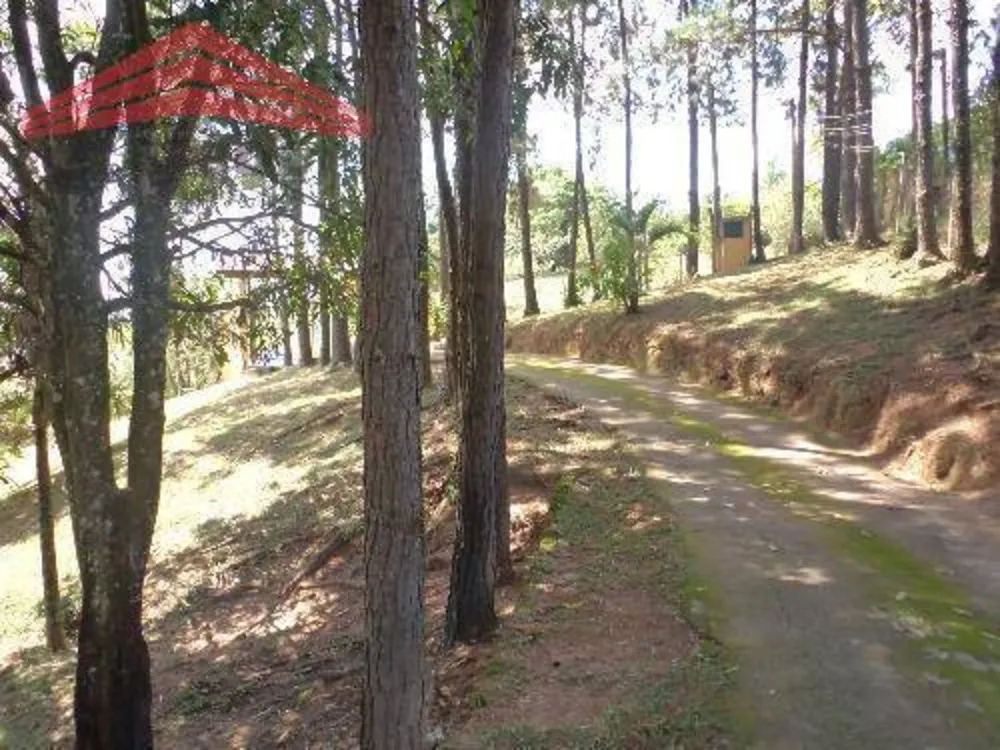 Sítio, 3 quartos, 3800 m² - Foto 7